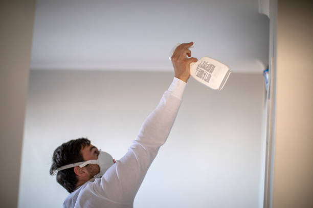 Best Mold Testing and Inspection Services in Wagon Wheel, AZ